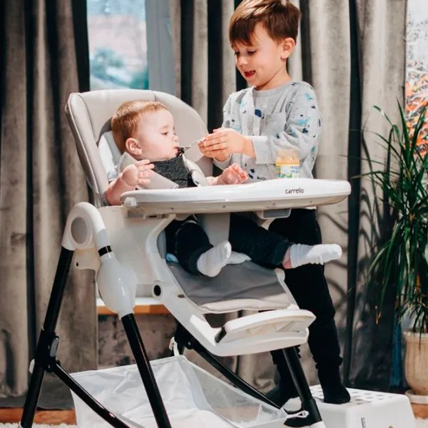 Scaun de masă Carrello Stella (CRL-9503) 6 luni/ Shell Grey photo 13 Scaun de masă Carrello Stella (CRL-9503) 6 luni/ Shell Grey photo 13