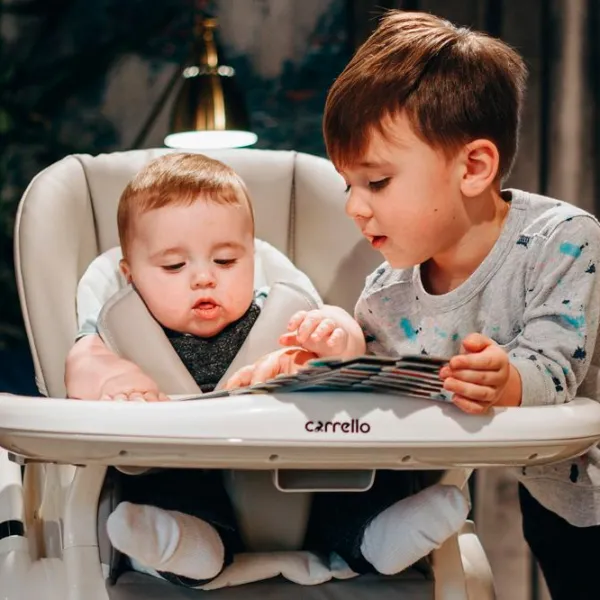 Scaun de masă Carrello Stella (CRL-9503) 6 luni/ Shell Grey photo 14 Scaun de masă Carrello Stella (CRL-9503) 6 luni/ Shell Grey photo 14