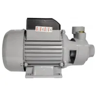 Pompă de suprăfață Resanta PSN-3300H 650 W 3300 l/ h photo 2