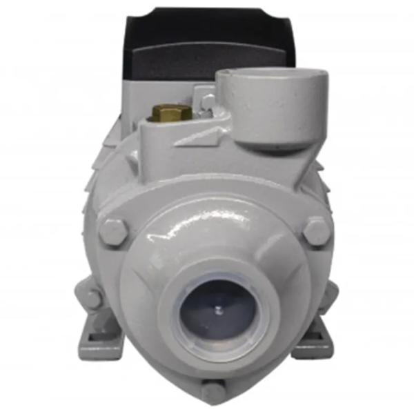 Поверхностный насос Resanta PSN-3300H 650 Вт 3300 л/ ч photo 3