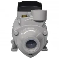 Pompă de suprăfață Resanta PSN-3300H 650 W 3300 l/ h photo 3