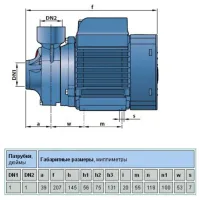 Pompă de suprăfață Pedrollo PKm65 800 W 3000 l/ h photo 2