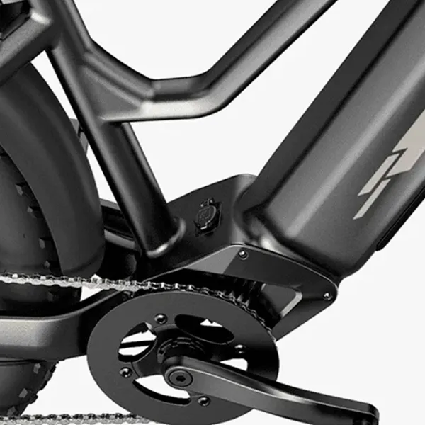 Bicicletă electrică FIIDO M25 26" Black photo 2 Bicicletă electrică FIIDO M25 26" Black photo 2