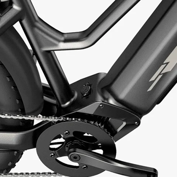 Bicicletă electrică FIIDO M25 26" Black photo 2 Bicicletă electrică FIIDO M25 26" Black photo 2