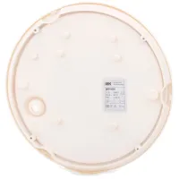 Plafonieră IEK LDPO0-5051-18-6500-K01 Plastic photo 2