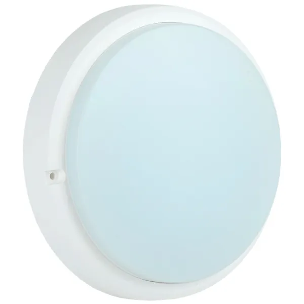 Plafonieră IEK LDPO0-4005-8-6500-K01 160 mm/ Plastic photo 2