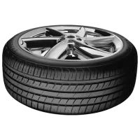 Шины Starmaxx Novaro ST532 225/ 55 ZR16 95W Лето/ Легковой photo 3