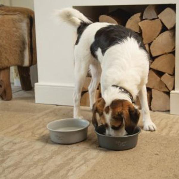 Bol pentru animale Beeztees Feribo Inox photo 2 Bol pentru animale Beeztees Feribo Inox photo 2