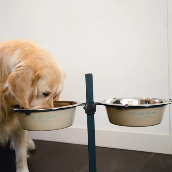 Bol pentru animale Beeztees Carte Inox photo 2 Bol pentru animale Beeztees Carte Inox photo 2