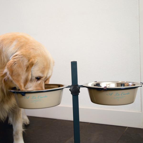 Bol pentru animale Beeztees Carte Inox photo 2 Bol pentru animale Beeztees Carte Inox photo 2