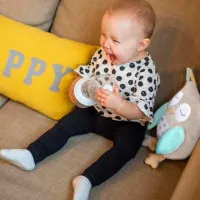Jucărie moale BabyOno Animals Owl Sofia 0+/ Gray photo 5