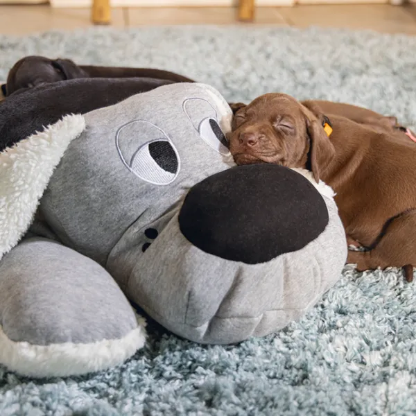 Плюшевая игрушка для собаки Beeztees XL Cuddle Boomba  photo 3 Плюшевая игрушка для собаки Beeztees XL Cuddle Boomba  photo 3