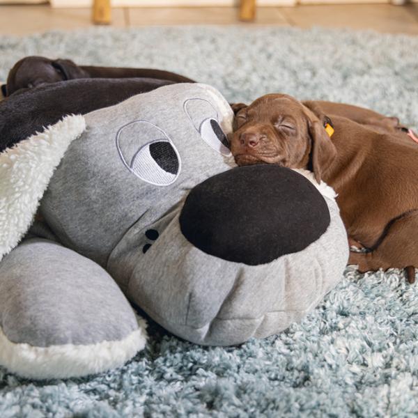 Плюшевая игрушка для собаки Beeztees XL Cuddle Boomba  photo 3 Плюшевая игрушка для собаки Beeztees XL Cuddle Boomba  photo 3