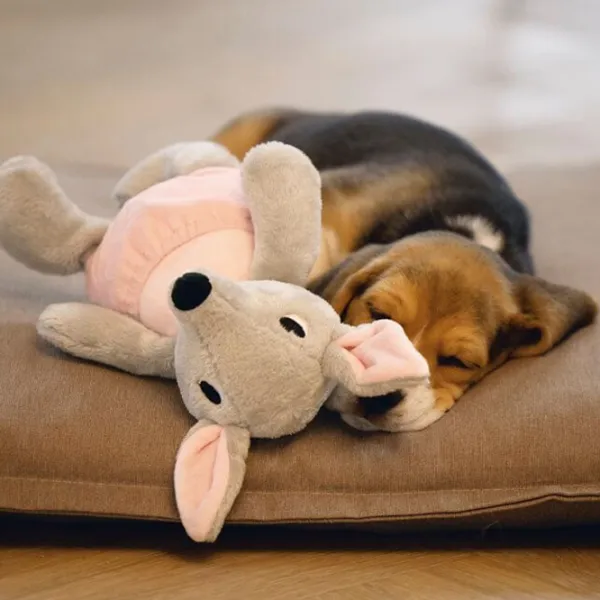 Jucărie de pluș pentru câine Beeztees Kangaroo Ravi  photo 2 Jucărie de pluș pentru câine Beeztees Kangaroo Ravi  photo 2