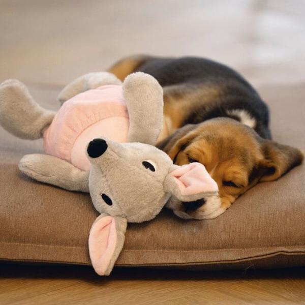 Jucărie de pluș pentru câine Beeztees Kangaroo Ravi  photo 2 Jucărie de pluș pentru câine Beeztees Kangaroo Ravi  photo 2