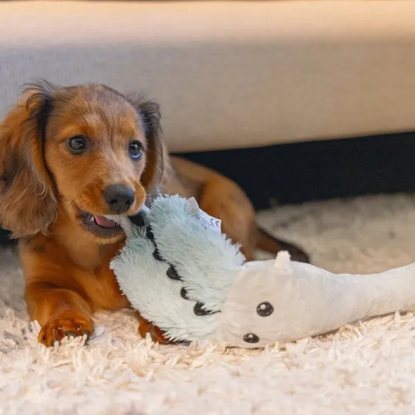 Jucărie de pluș pentru câine Beeztees Crocodile  photo 2