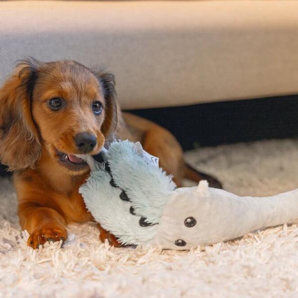 Jucărie de pluș pentru câine Beeztees Crocodile  photo 2