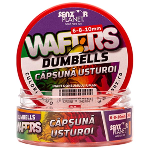 Бойлы Senzor Planet Wafters Dumbells Чеснок/ 0.03 кг/ 6 мм photo 2 Бойлы Senzor Planet Wafters Dumbells Чеснок/ 0.03 кг/ 6 мм photo 2