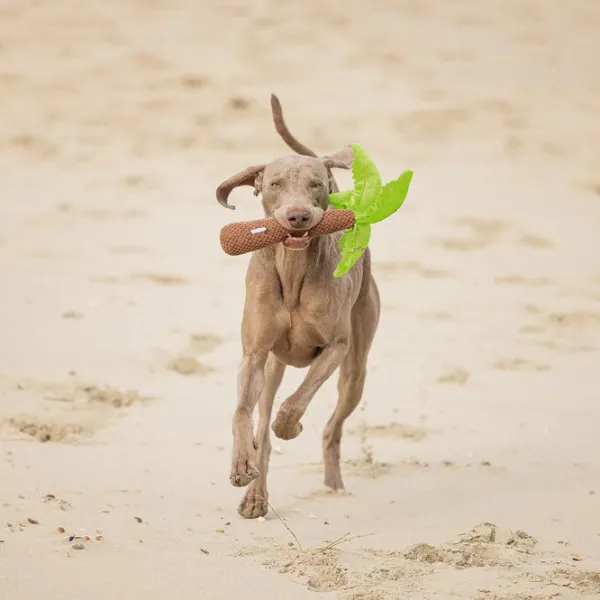 Jucărie de pluș pentru câine Beeztees Palmtree  photo 2 Jucărie de pluș pentru câine Beeztees Palmtree  photo 2