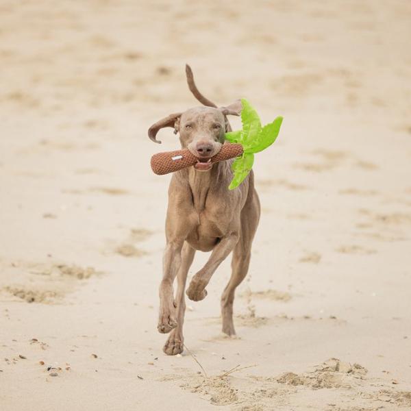 Jucărie de pluș pentru câine Beeztees Palmtree  photo 2 Jucărie de pluș pentru câine Beeztees Palmtree  photo 2
