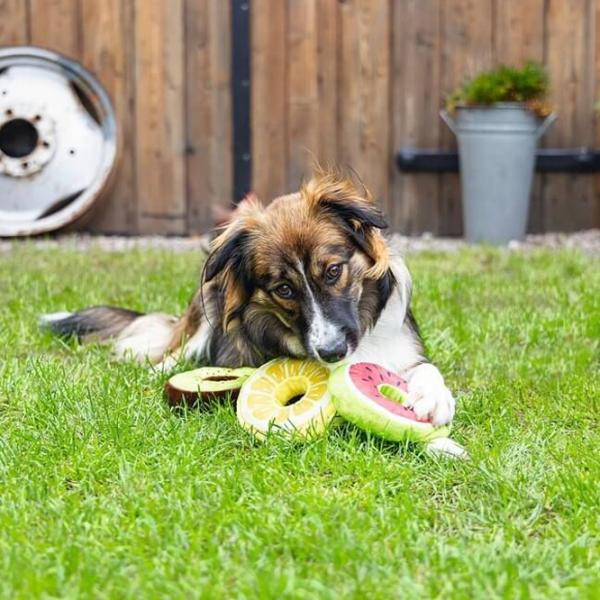 Jucărie de pluș pentru câine Beeztees Fruity Donuts  photo 2 Jucărie de pluș pentru câine Beeztees Fruity Donuts  photo 2