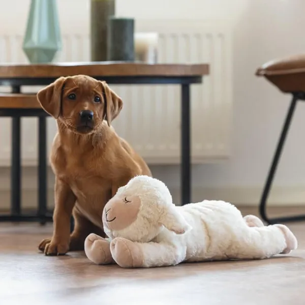 Jucărie de pluș pentru câine Beeztees Heartbeat Bowi  photo 3