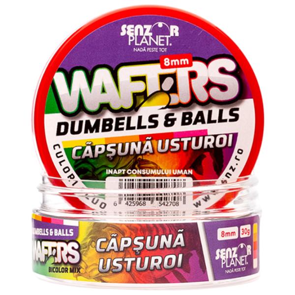 Boilies Senzor Planet Wafters Dumbells Garlic/ 0.03 kg/ 8 mm photo 2 Boilies Senzor Planet Wafters Dumbells Garlic/ 0.03 kg/ 8 mm photo 2