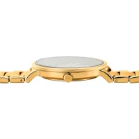 Ceas de mână pentru bărbați Pierre Lannier 252G032 Cuarț/ 40 mm photo 3