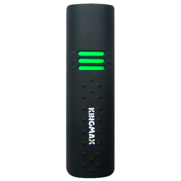 Kingmax UD-01 4 ГБ Черный photo 1