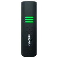 Kingmax UD-01 4 ГБ Черный