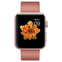 Умные часы Apple Watch Series 2 MNPM2/ Anthracite Оранжевый