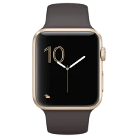 Умные часы Apple Watch Series 2 MNPN2/ Кокос Коричневый