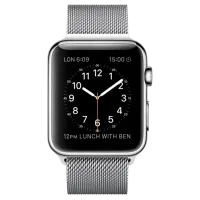 Ceas inteligent Apple Milanese Loop 1.54"/ Silver
