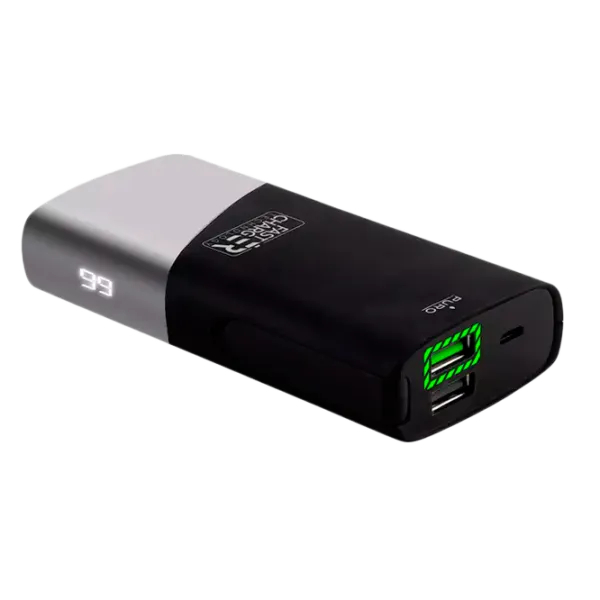 Acumulator extern Puro FCBB50P1LEDBLK Black photo 1