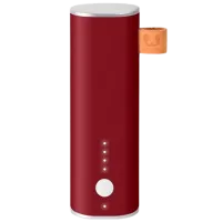 Power Bank Fresh 'N Rebel 1 Port 3000 mAh/ Burgundy