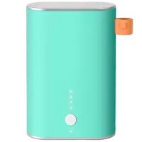 Power Bank Fresh 'N Rebel 2PB3000PT 9000 мАч/ Зелёный