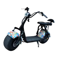 Roadlink TownBike 35 km/h/ 800 W/ GRAFFITI Multicolor