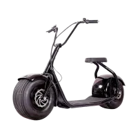 Roadlink TownBike 35 km/h/ 800 Вт/ Premium Черный