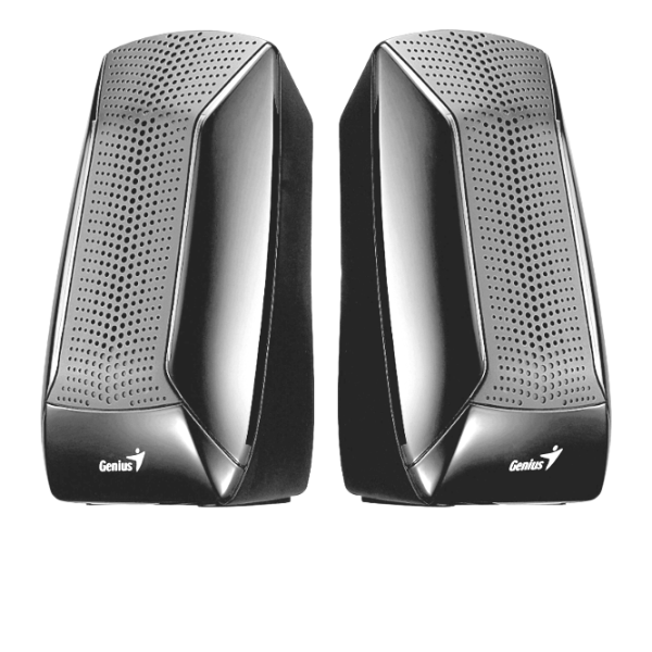 Boxe Genius SP- 120 Silver photo 1