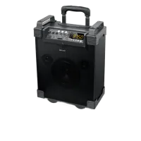 Колонки Muse M-1910 T Черный