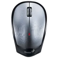 Mouse Genius NX-6500 Gray