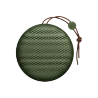 Портативная колонка Bang & Olufsen BeoPlay A1 60 Вт(2 x 30 Вт)/ Зелёный