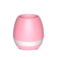 Портативная колонка Flowerpot Music Розовый