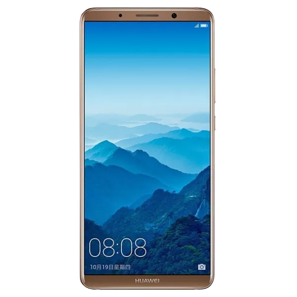 Huawei Mate 10 Pro 6 GB/ 128 GB/ Dual SIM/ Brown photo 1