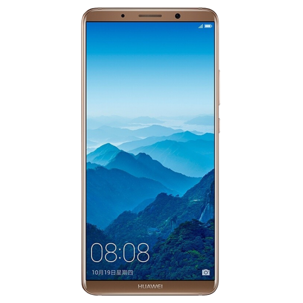 Huawei Mate 10 Pro 6 GB/ 128 GB/ Dual SIM/ Brown photo 1
