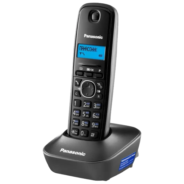 Panasonic KX-TG1611UAH Серый photo 1