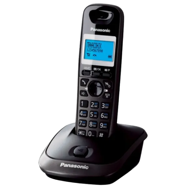 Panasonic KX-TG2511UAT Titanium photo 1