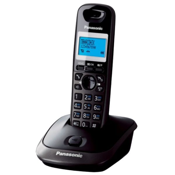 Panasonic KX-TG2511UAT Titanium photo 1