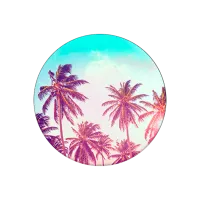 COMBO PopSocket & PopClip palm leaves Разноцветный