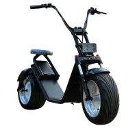 EcoRider City E5 50 km/h/ 1000 Вт/ Черный